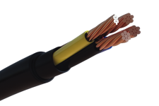 P-Trans cables